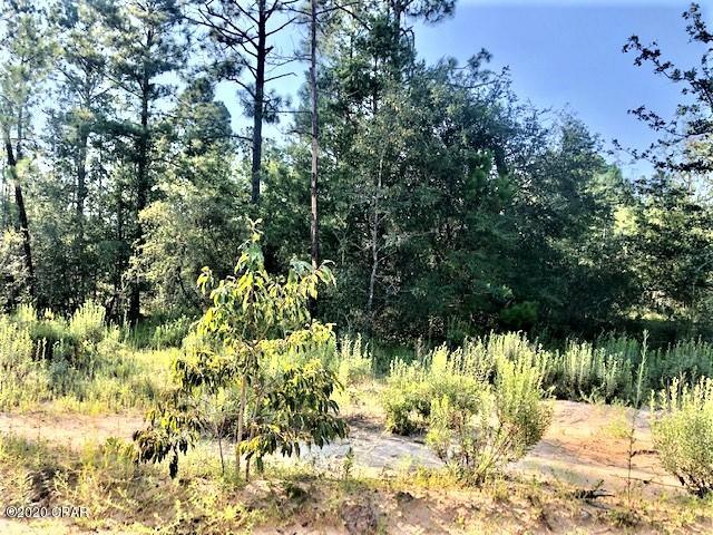 Compass Lake Hills Unit 6 - Land