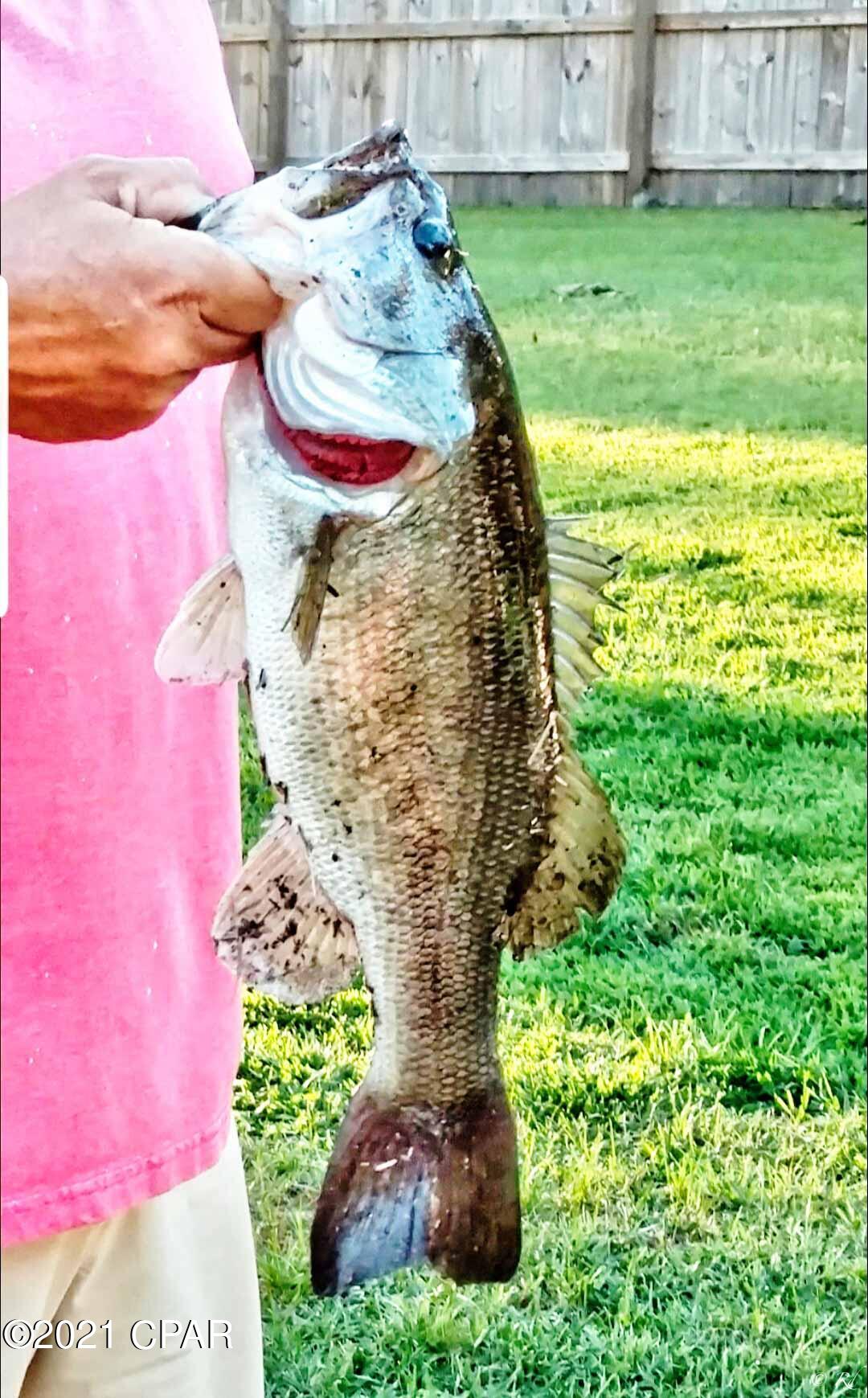 Towne & Country Lake Estates - Residential