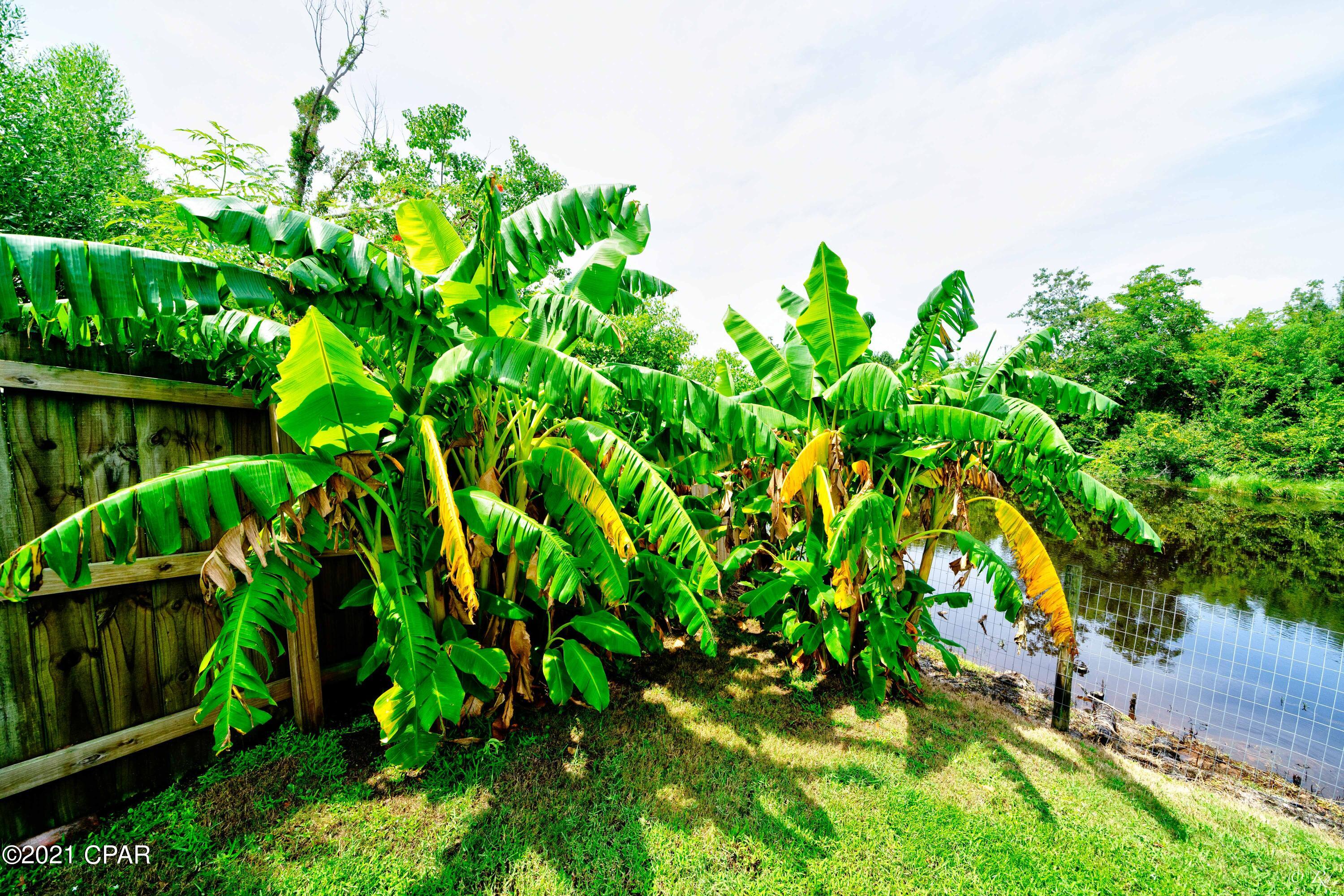 Towne & Country Lake Estates - Residential