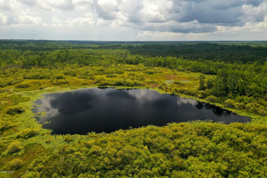 Talk about a Sportsman's Paradise! Don't miss out on this amazing opportunity to own the infamous Mobile Swamp and some of the adjoining property. If you're someone who loves to hunt and fish, or someone who simply enjoys the thought of conservation and preservation, this property is for you and priced to sell!



These properties total approximately 172 Acres and consist of the following Parcel IDS:

00000000-00-3352-0000 (Apollo Drive)

This parcel consists of a total of 71.85 Acres. 5 acres zoned ''Timberland'' and 66.85 Acres zoned ''Swamp or Low''



00000000-00-3339-0000 (Highway 77)

This Parcel contains Mobile Swamp and consists of 100.63 acres. 61.7 acres zoned as ''Timberland'', 20.93 Acres Zoned as ''Swamp or Low'' and 18 Acres  ''Non-Productive''.



See documents for more info