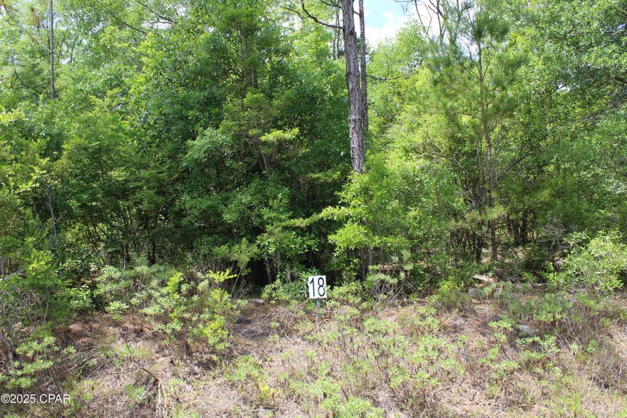 This pretty homesite is level, featuring a mix of hardwoods, easy access to both Hwy 77 & Hwy 79 for your chosen route, the Beaches, the Lakes, the Creek, more than one town to service your needs-all only minutes away. This one-acre homesite has no build time, no HOA, no Mobile Homes and only a 1,600 sq ft min for your home of your dreams. If you want a larger parcel, the adjacent lot 17 is also available. Take a look we won't mind.