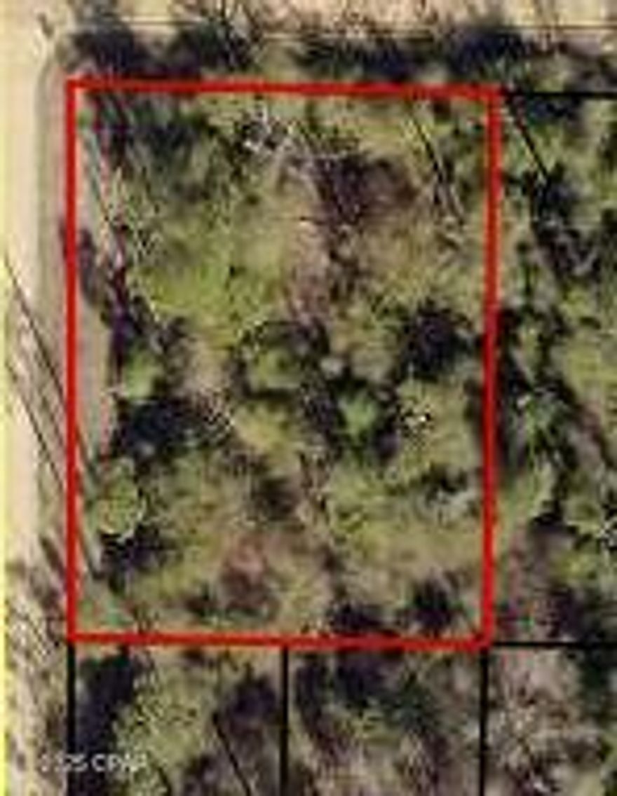 Build your dream on this secluded lot in the Fountain area of Bay County. Just a short drive to the world's most beautiful beaches, natural Florida Springs, and all the conveniences and luxuries of the Panama City area while still having your own quiet place to get away from it all. Call your favorite Realtor today to learn more about this property.