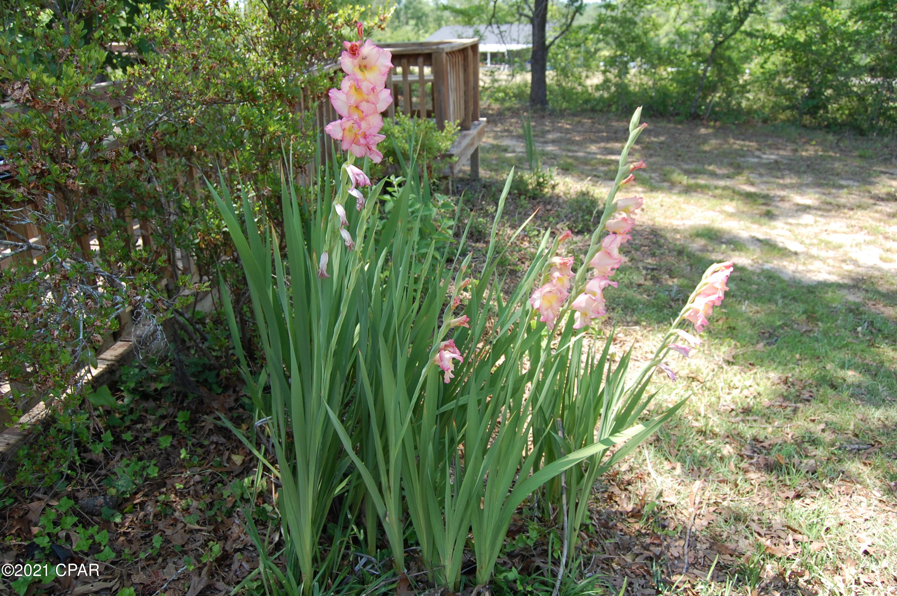 Compass Lake Hills Unit 6 - Residential