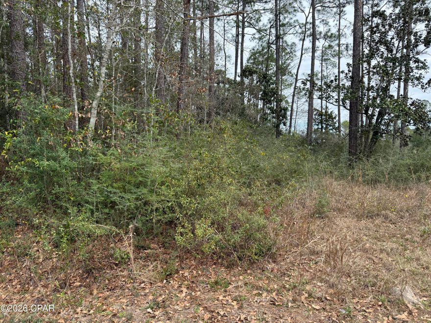 Vacant land on marsh with a small canal to Ward Basin off the Blackwater River. Property is not cleared. Easy access to I-10, Splash RV Resort, Pensacola Beach, and Pensacola's Naval Air Station. Possible Gulf Access depending on water depth.  Check all information if important.