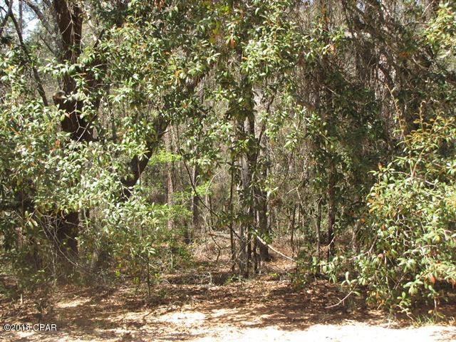 Compass Lake In The Hills - Land