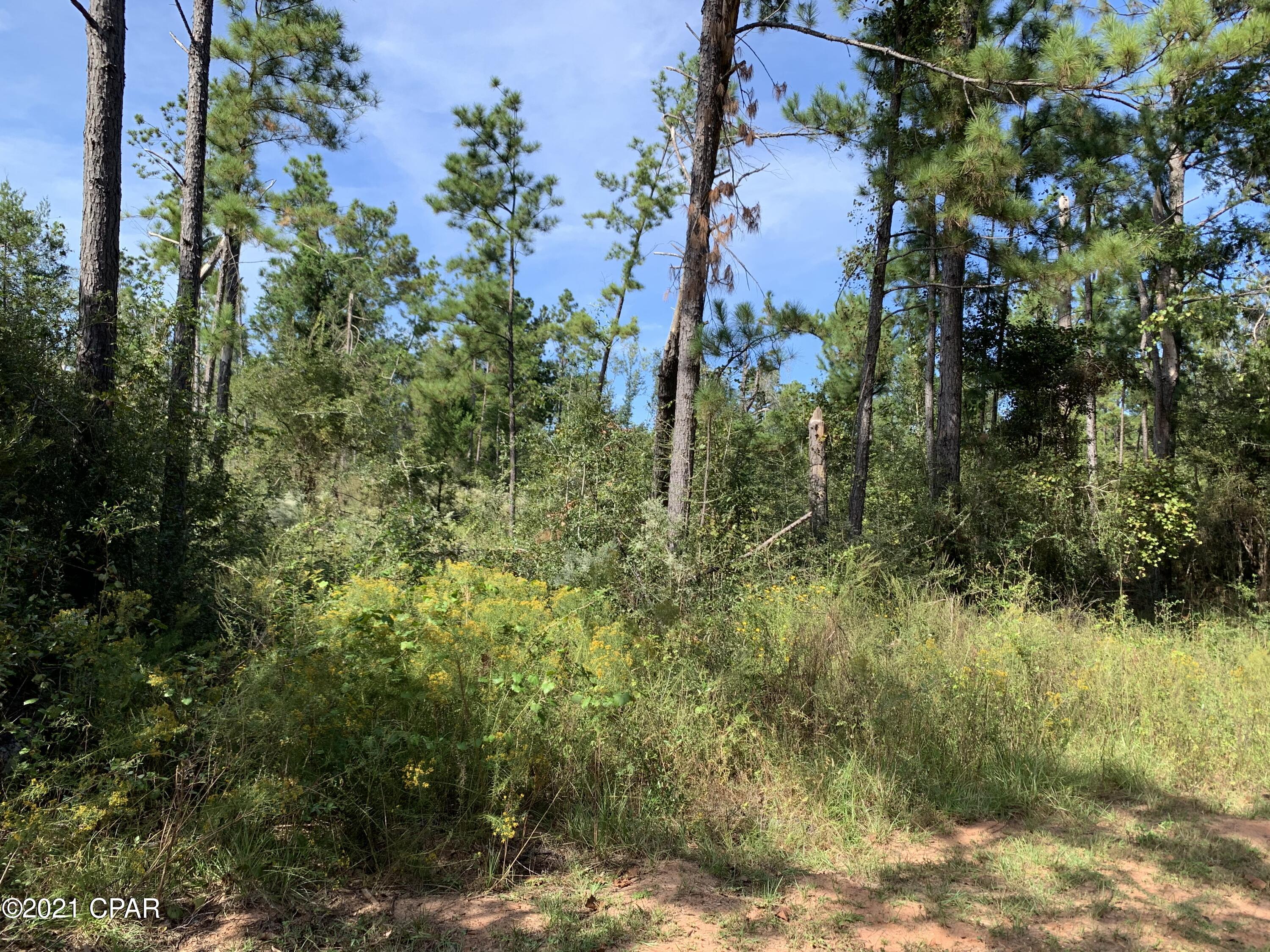 Highlands At Compass Lake - Land