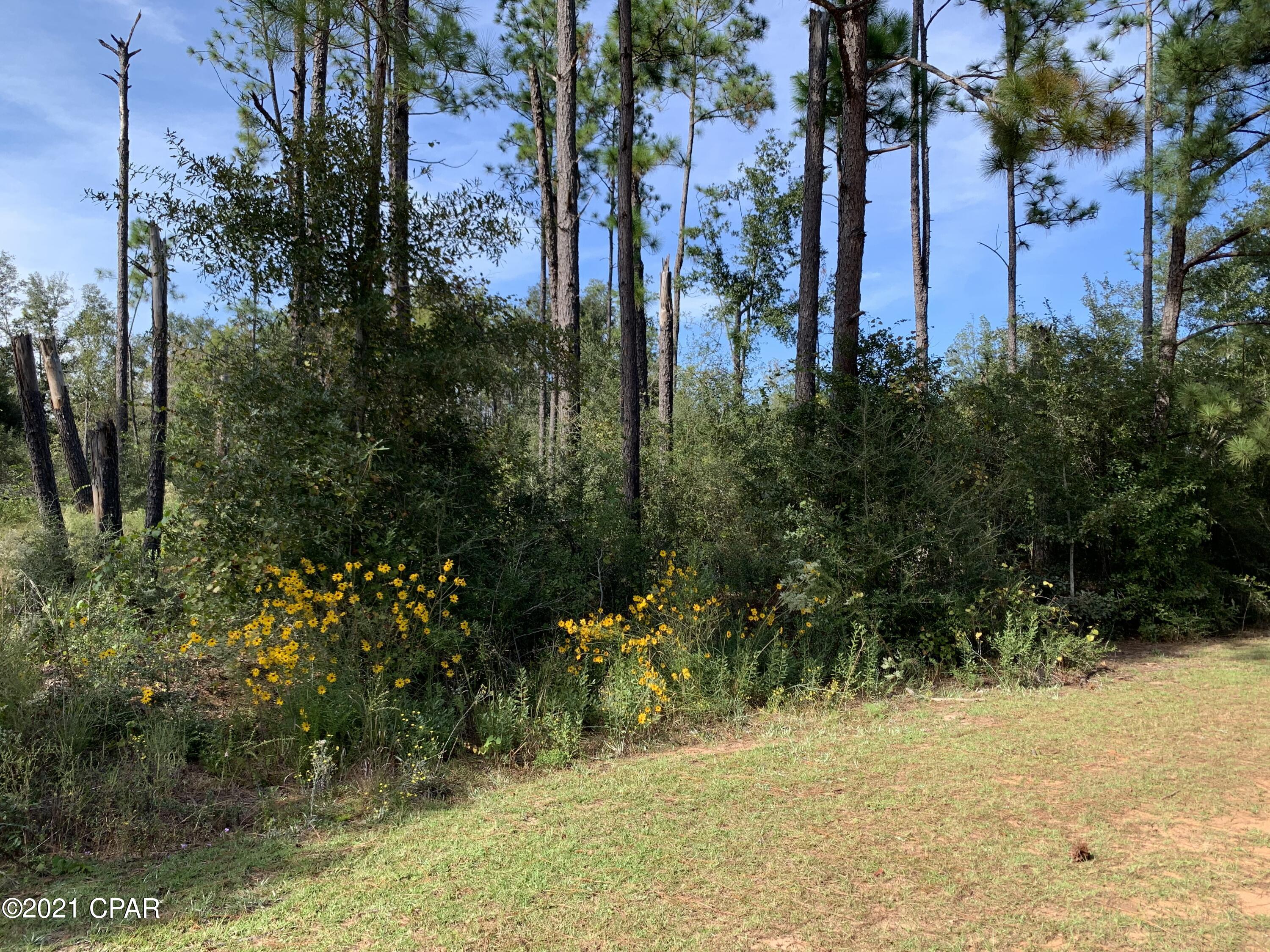 Highlands At Compass Lake - Land