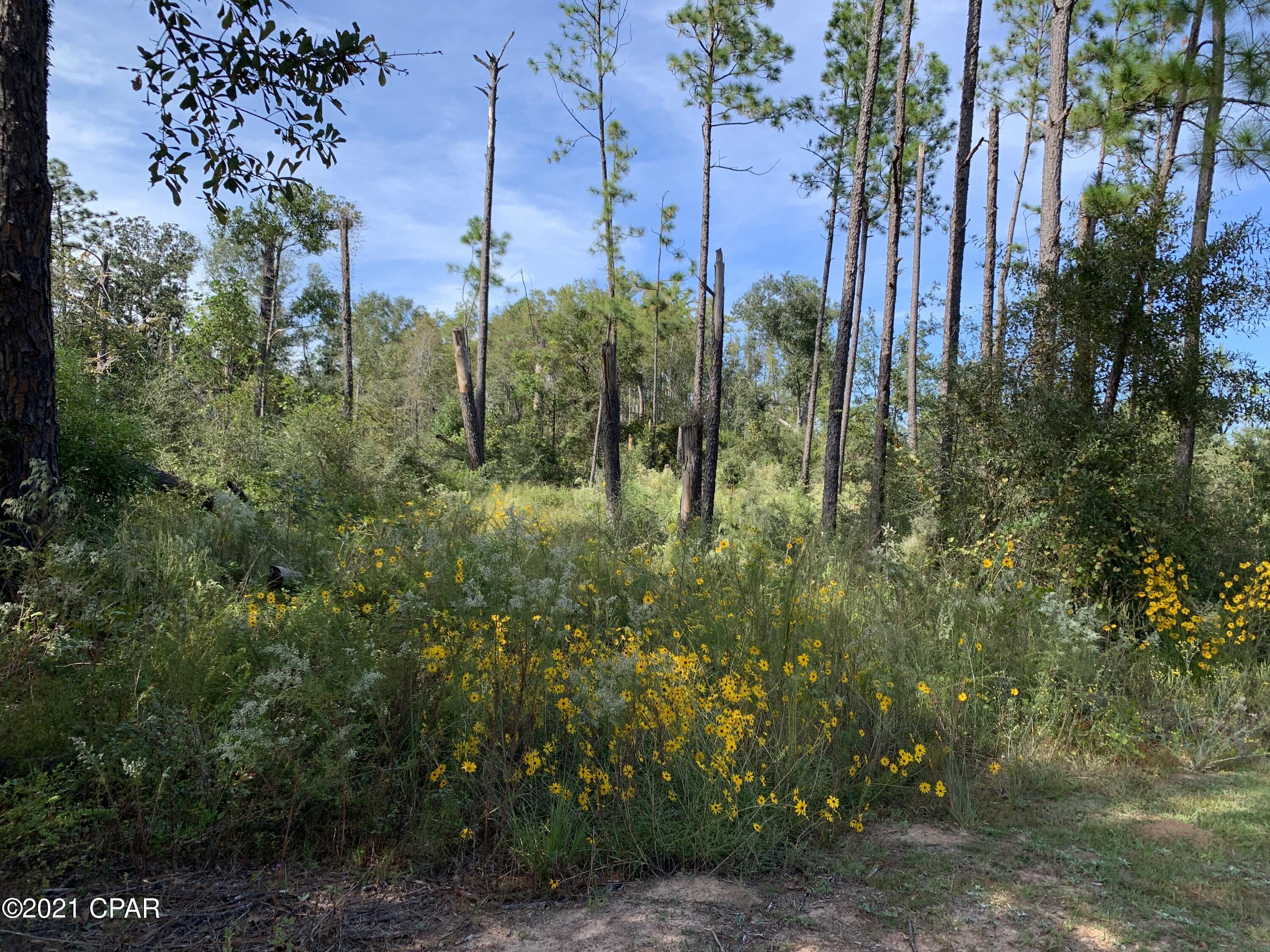Highlands At Compass Lake - Land