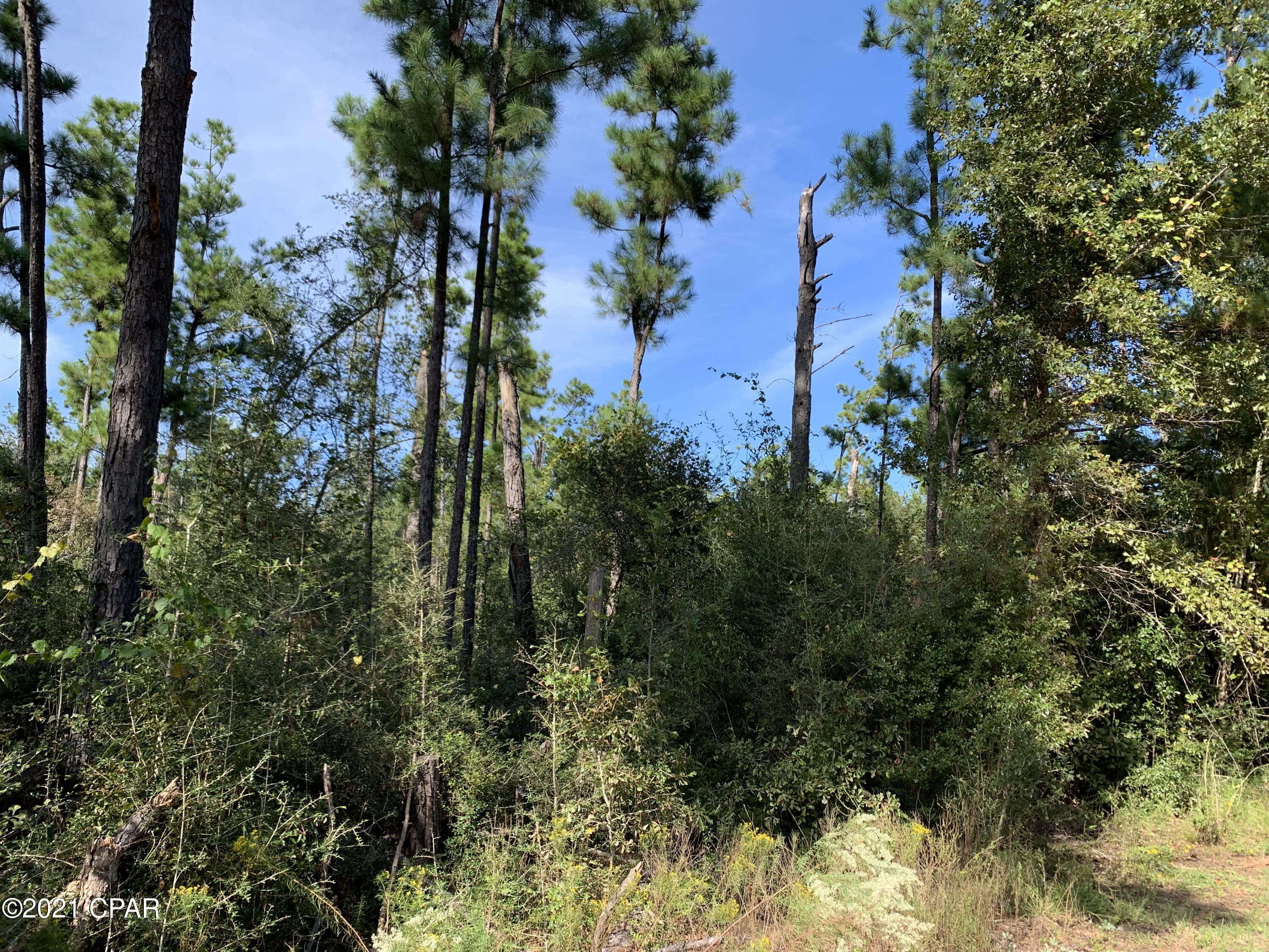 Highlands At Compass Lake - Land