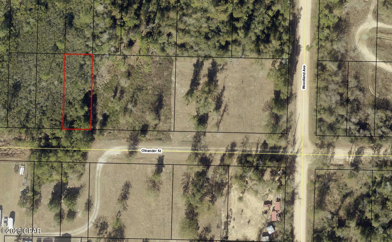 11827 Oleander Street