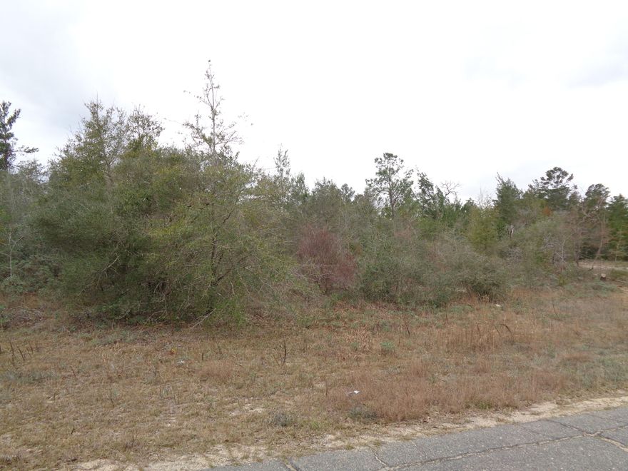Building lot located in Sunny Hills. Build your dream home or keep for investment. Located in area with golf course and lakes for swimming and fishing. A corner lot and a paved road.