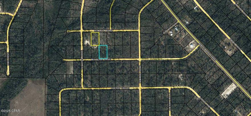 Two Very nice wooded residential lots in beautiful Compass Lake in the Hills.  There are various native trees in this peaceful country setting with lots of wildlife, birds and butterflies in the area. Panama City is approx. 45 miles to the south and Marianna is just 20-25 minutes north.  POA (property owner's association) is voluntary, but paid owners enjoy the many amenities available such as, use of pavilions at Lake McCormick, swimming in either lake or the swimming pool at the club house, cabin rentals at reduced price, camping, driving range, frisbee golf, and boat rentals.  These lots are close in proximity to one another (corners touch) and perfect to build on.  No restrictions on mobile homes.