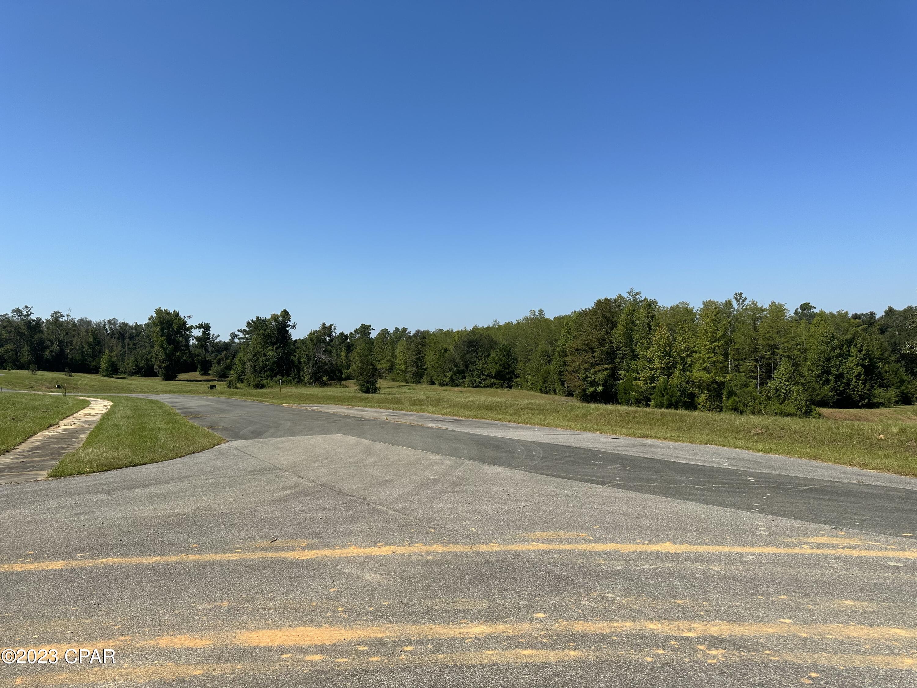 Cypress Tree - Residential