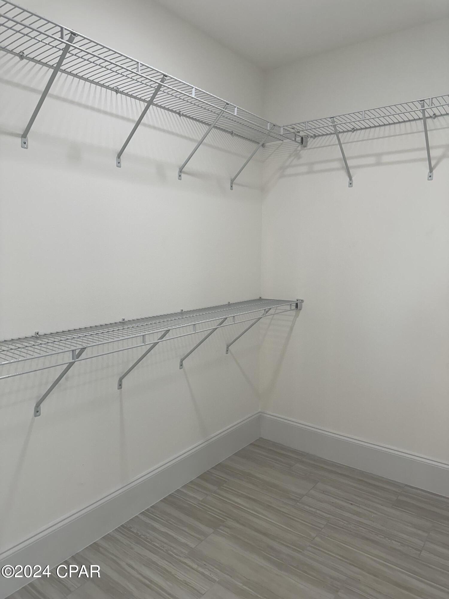 Cypress Tree - Residential