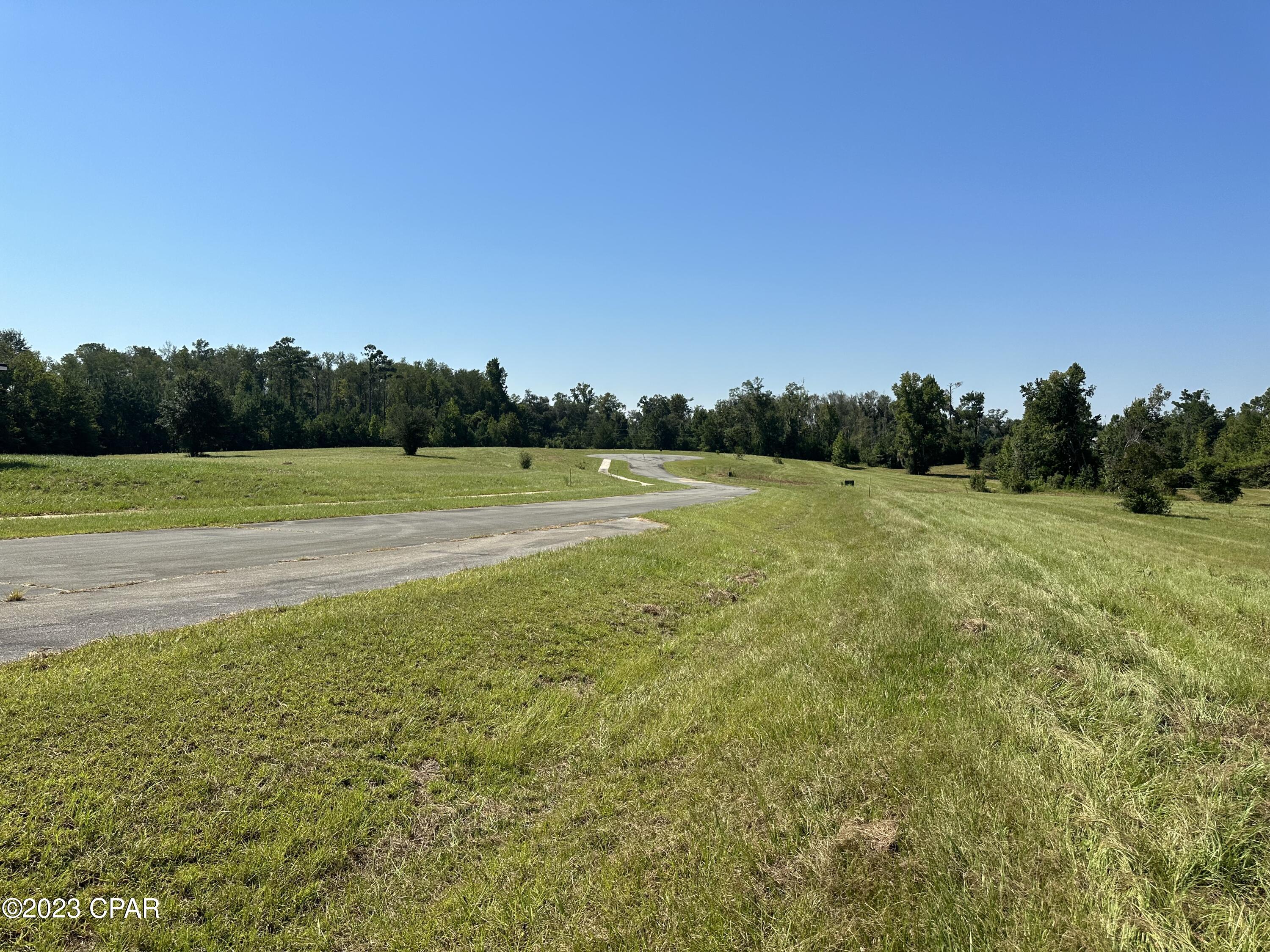 Cypress Tree - Residential