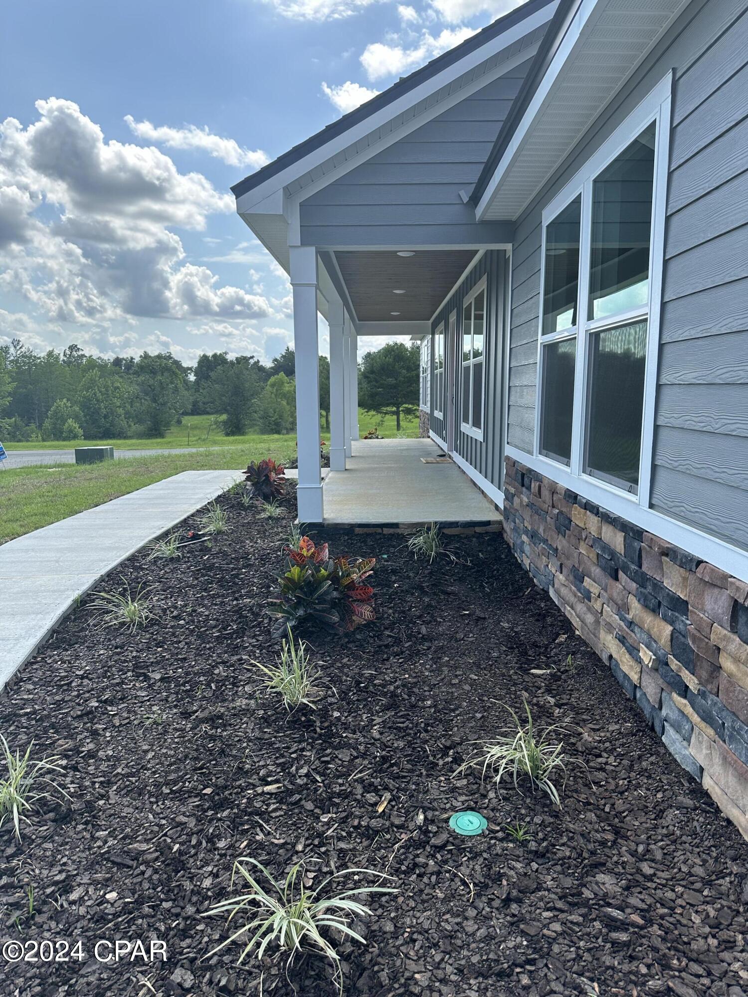 Cypress Tree - Residential