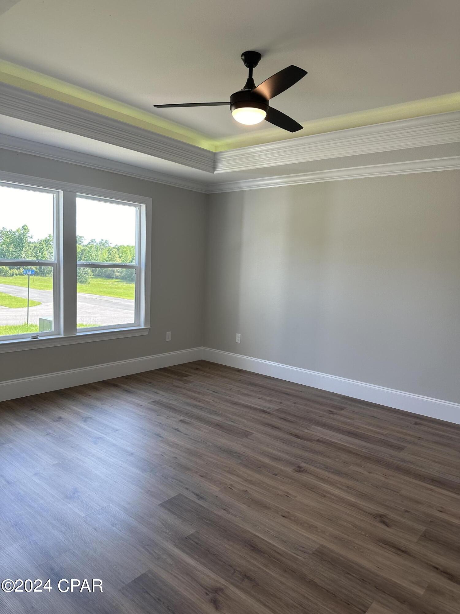 Cypress Tree - Residential