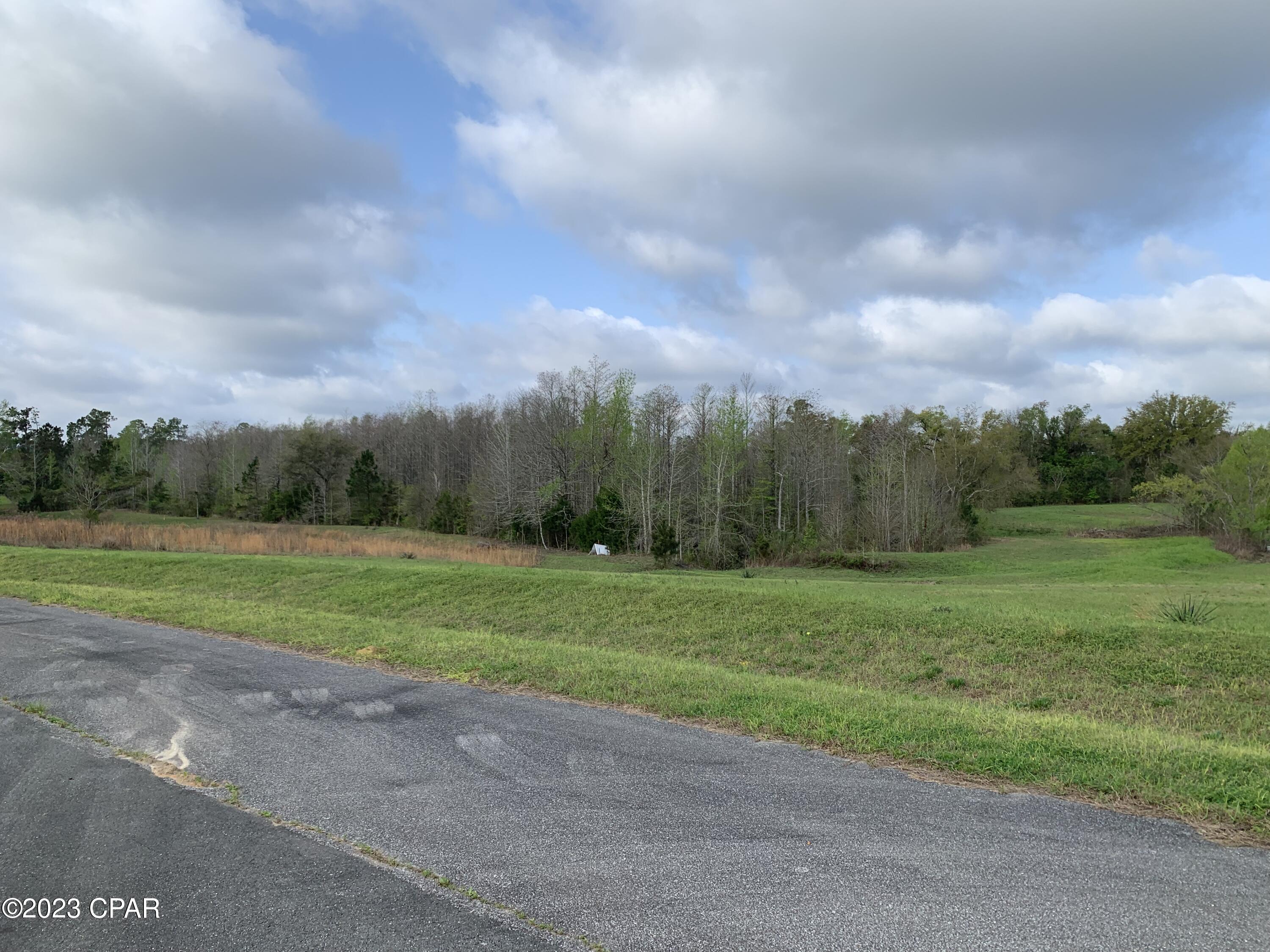 Cypress Tree - Residential