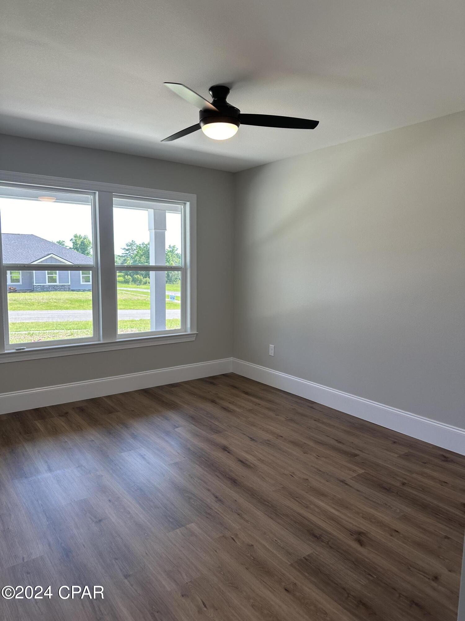 Cypress Tree - Residential