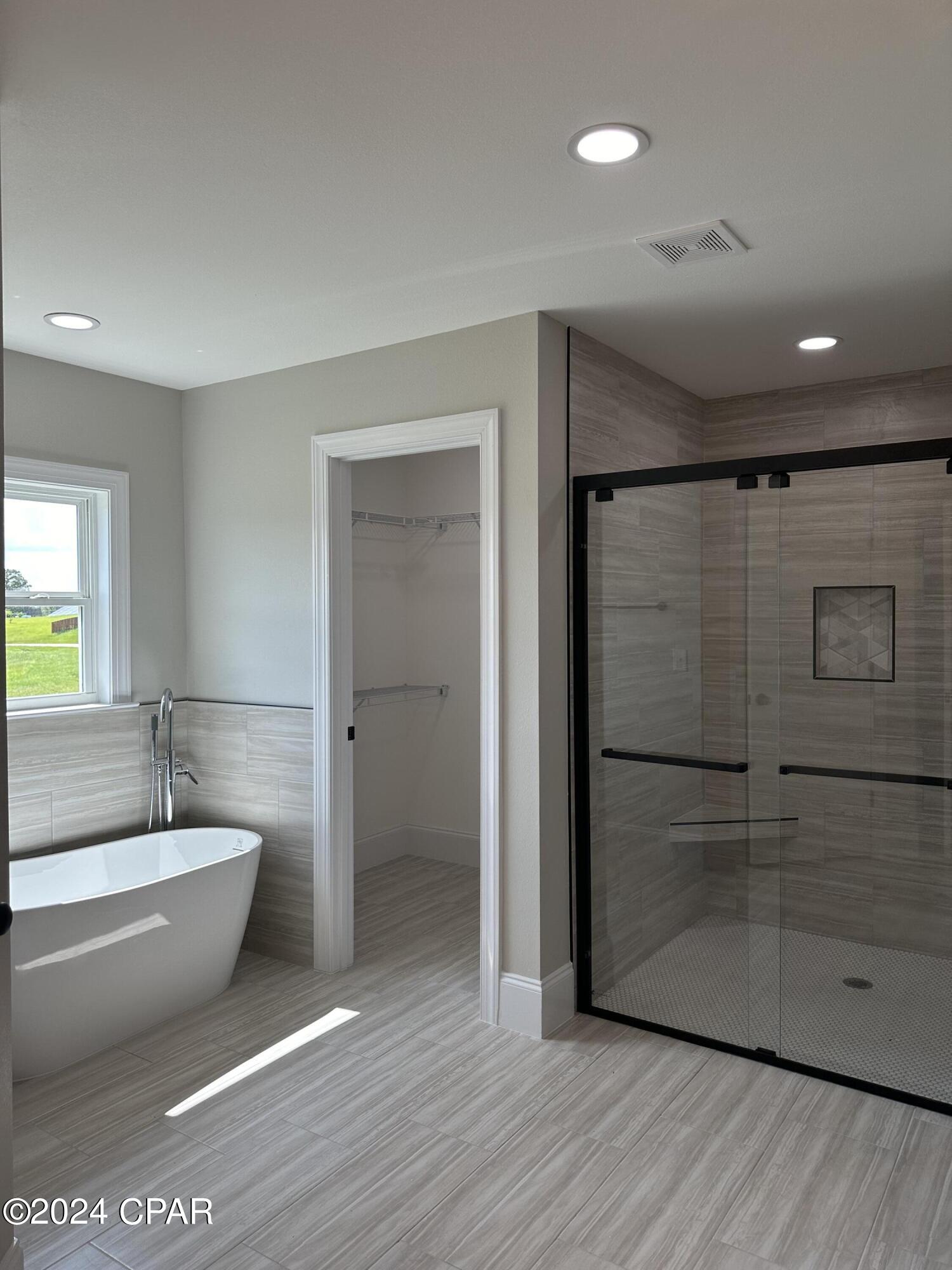 Cypress Tree - Residential