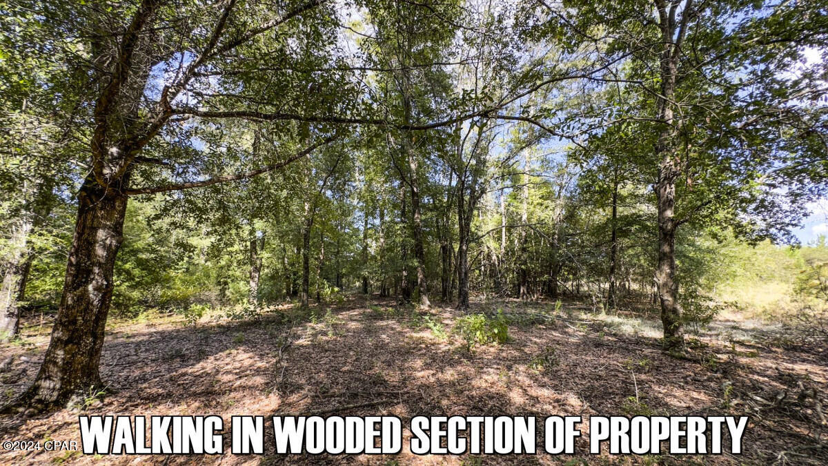 No Named Subdivision - Land