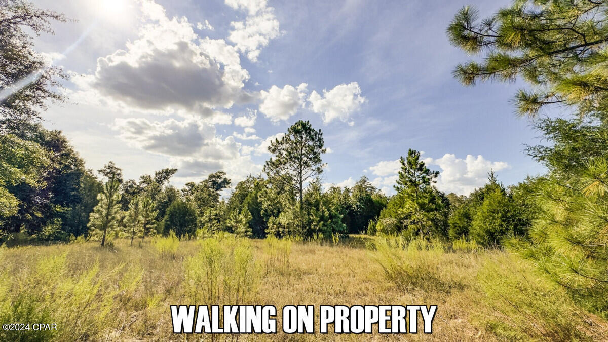 No Named Subdivision - Land