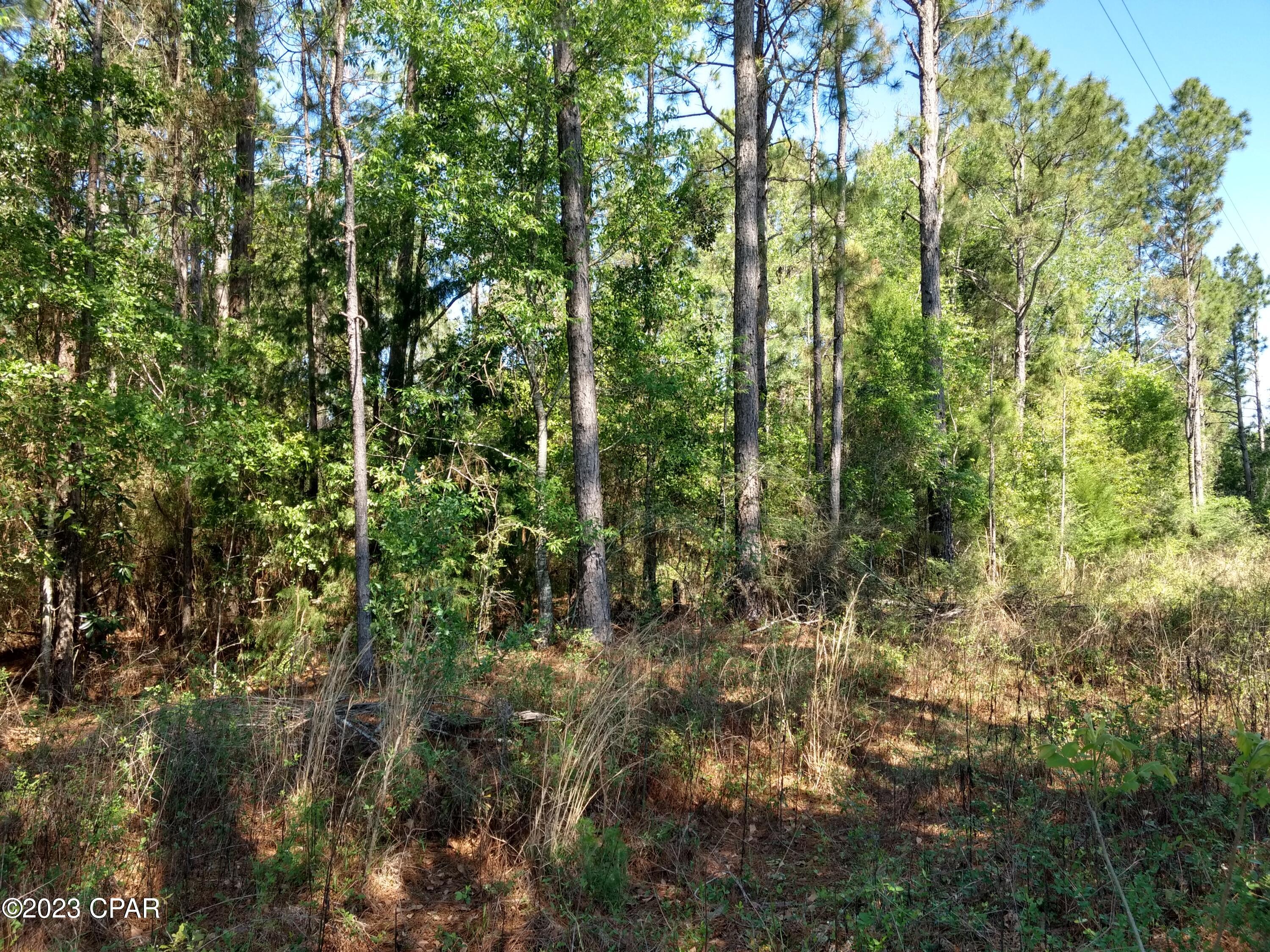 Dogwood Lake Estates - Land