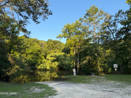 129 LANDING RD, PONCE DE LEON, FL 32455 - Image 6ae94b56b07ec4203b3ac2b8e2ce0d2d/3325670902