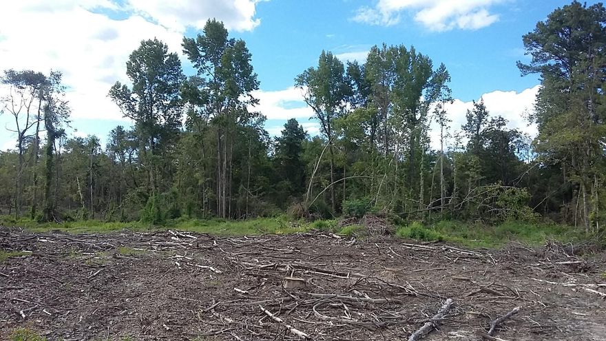 23.7 acres on the West side of Hwy 179A with 1530' highway frontage. Within 3 miles of Hwy 90 and has recently had most of the timber cut. A few lower acres next to Braxton Lane was not cut over and was left naturally wooded. Unrestricted acreage has some pretty home sites on it. (Property can be bought with the 37.87 acres on the East side #650104) Good investment property, hunting land or build your dream home in the country! Convenient to Freeport, DeFuniak Springs, 30A and Destin, FL areas.