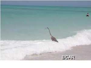 Portside Condo - Residential