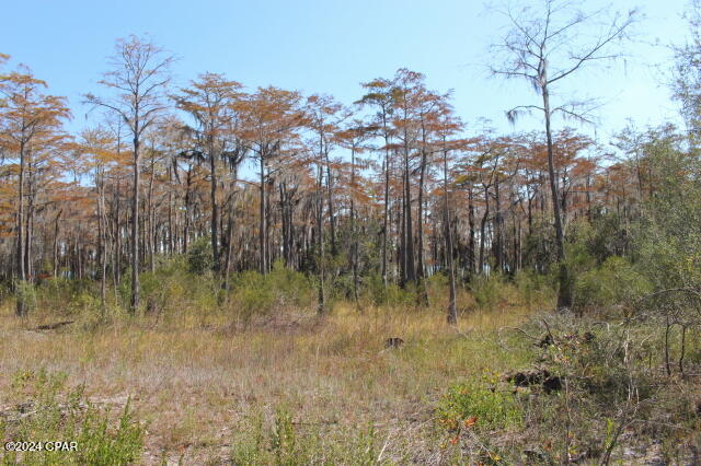 Lake Mckenzie Shores - Land