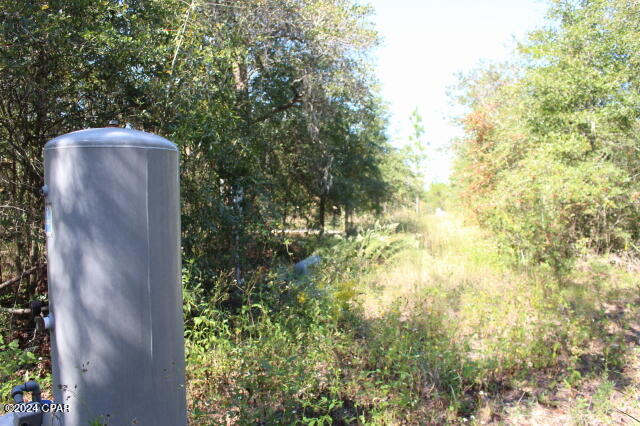 Lake Mckenzie Shores - Land