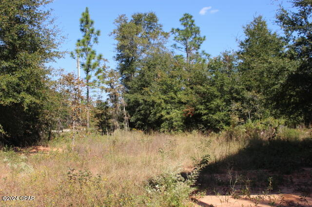 Lake Mckenzie Shores - Land
