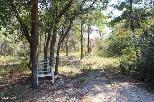 Lake Mckenzie Shores - Land