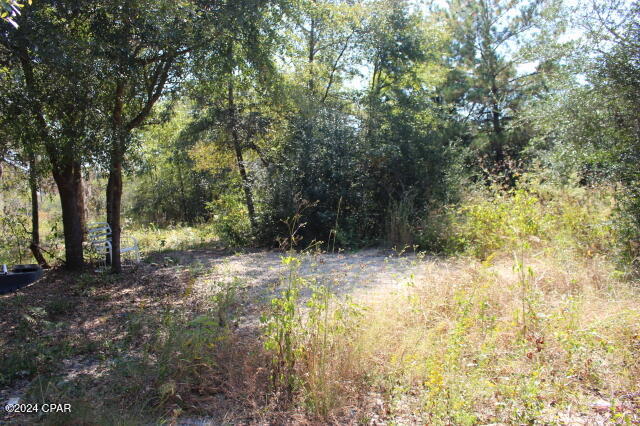 Lake Mckenzie Shores - Land