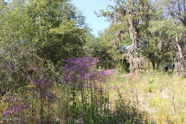 Lake Mckenzie Shores - Land