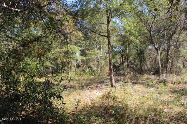 Lake Mckenzie Shores - Land