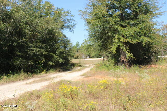 Lake Mckenzie Shores - Land