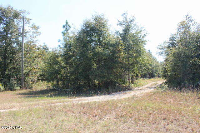 Lake Mckenzie Shores - Land