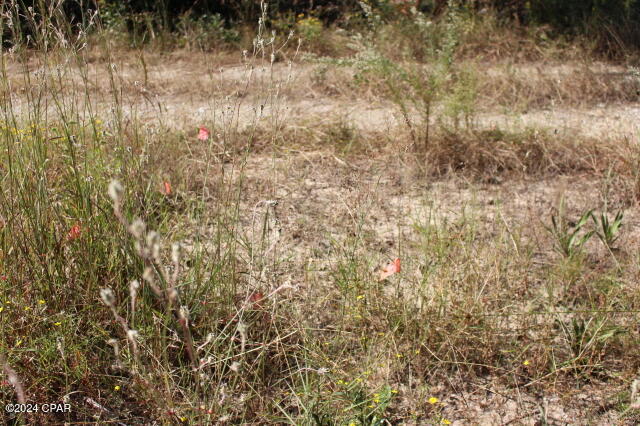 Lake Mckenzie Shores - Land