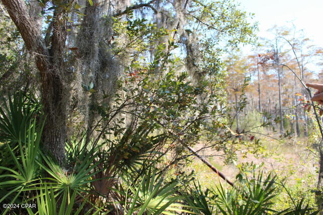 Lake Mckenzie Shores - Land