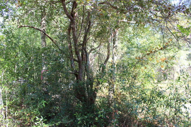 Lake Mckenzie Shores - Land