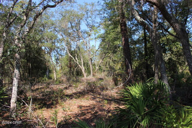 Lake Mckenzie Shores - Land