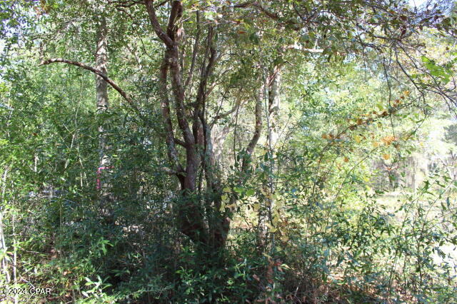 Lake Mckenzie Shores - Land