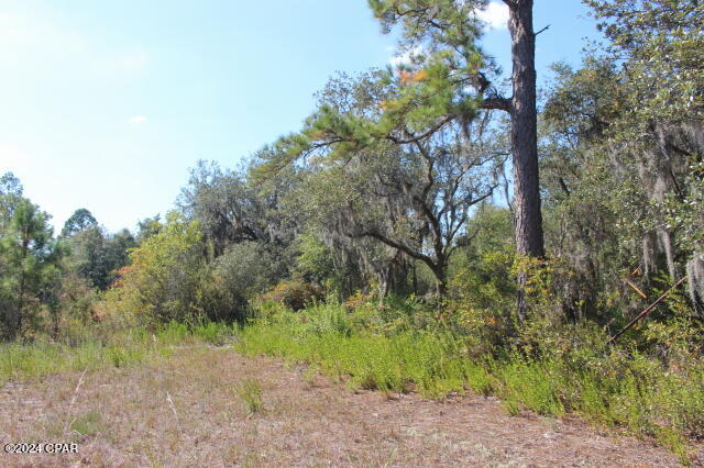Lake Mckenzie Shores - Land