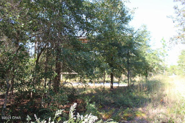 Lake Mckenzie Shores - Land
