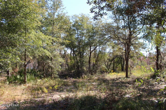 Lake Mckenzie Shores - Land