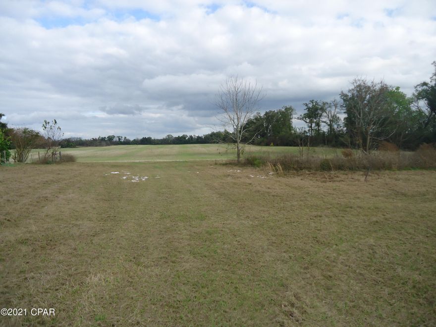 UNDER CONTRACT, TAKING BACKUP OFFERS  If you want to live in the country but close to town, this is your opportunity.  You will have approximately 76 acres with over 700 feet of  highway frontage.  Great place  to build your home and farm.  The land is within 10 miles of Marianna, Florida and 40 minutes to Dothan, Alabama. There are 2 grain bins on the property.