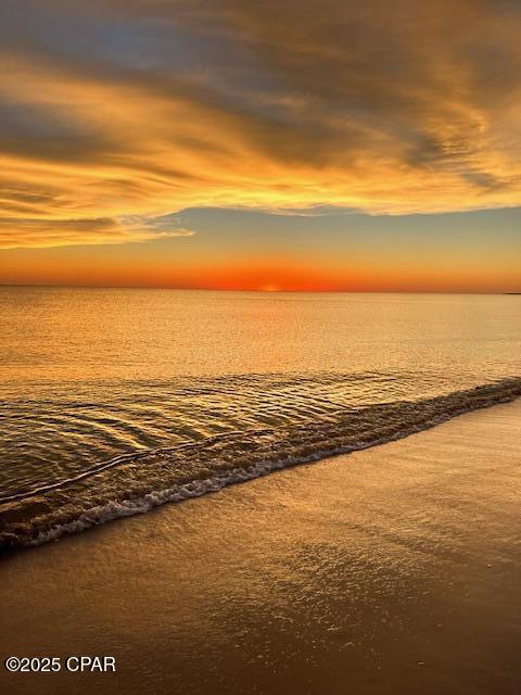 Ocean Plantation - Land