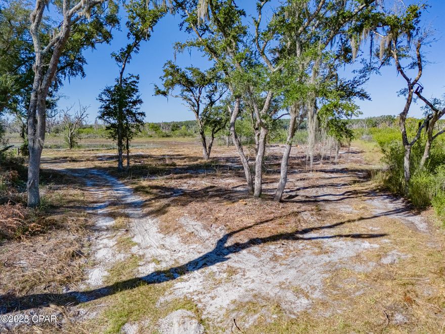 Discover the perfect balance of peace and convenience with this beautiful 1-acre parcel tucked away in the heart of Washington County on Wages Pond. This property is cleared, level, and ready for your dream home or getaway retreat. Enjoy that quiet, 'out in the woods' feeling while still being just a short drive from the world-famous beaches of Panama City Beach, shopping, restaurants, and local amenities. 

Whether looking to build now or invest for the future, this property offers endless potential and a serene setting surrounded by nature.